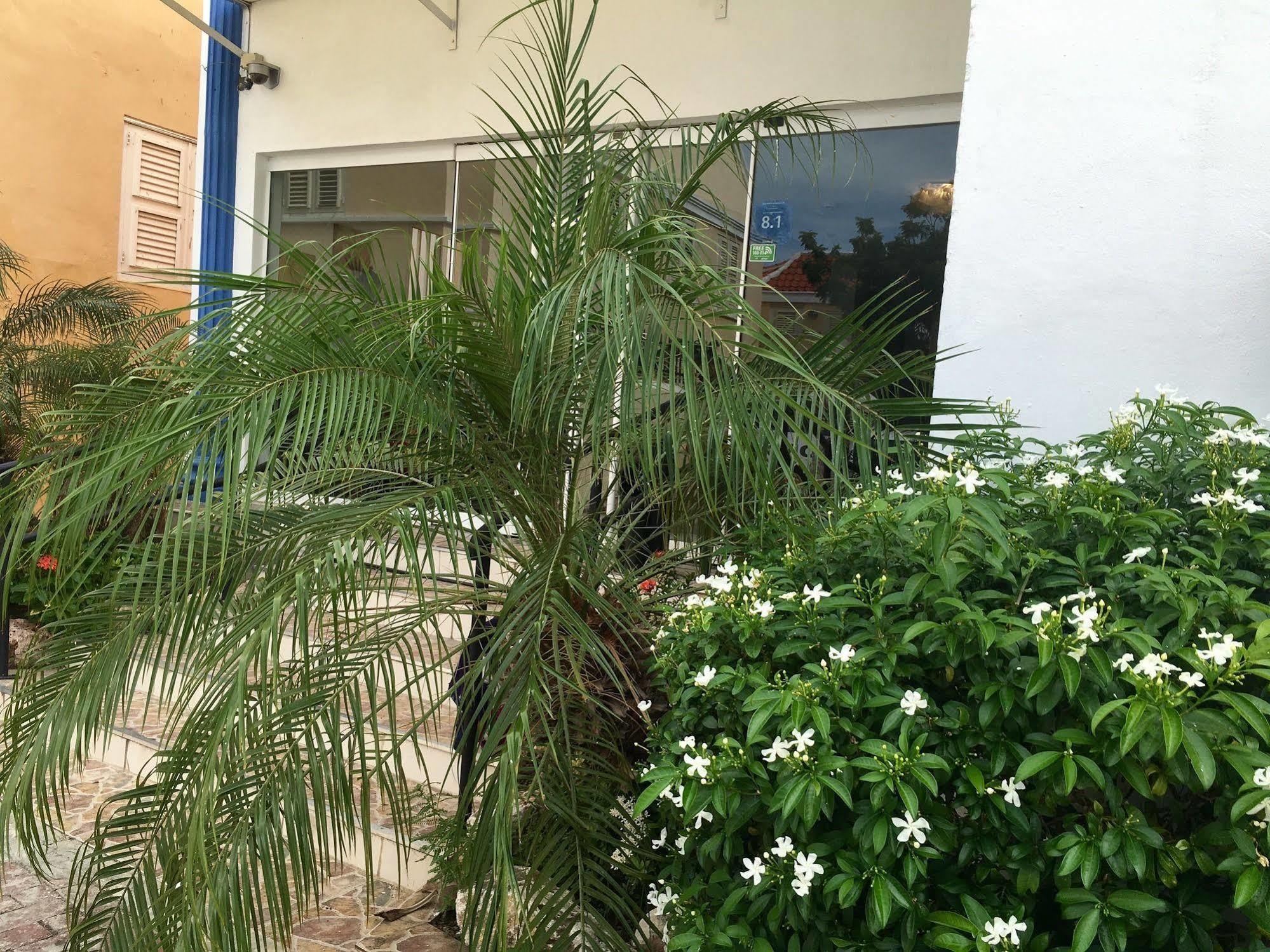 Curacao Suites Hotel วิลเลมสตัด ภายนอก รูปภาพ